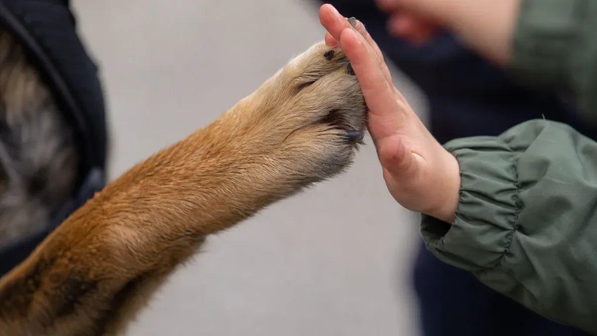Policjanci i pies służbowy z wizytą u przedszkolaków w Zamościu