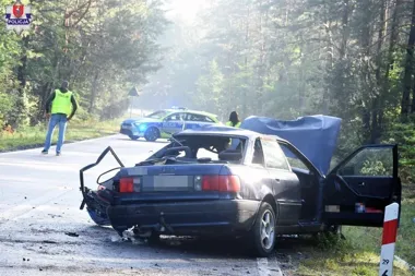 20-latek za kierownicą Audi stracił panowanie. Uderzył w drzewo