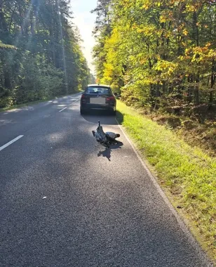 Śmiertelny wypadek w Obroczy. 70-latek na skuterze uderzył w BMW