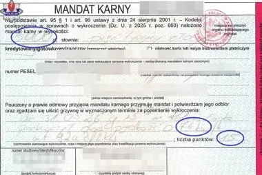 Audi pędziło 124 km/h w Kolonii Emskiej - kara przyszła od razu