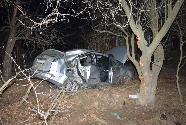 Ponad promil alkoholu i Ford w drzewie - 35-latek trafił do szpitala