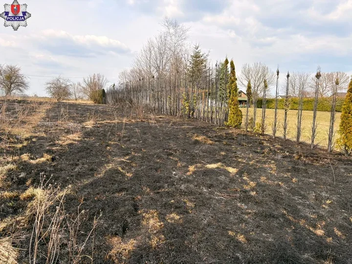 Ognisko bez nadzoru zamieniło działki pod Nieliszem w pogorzelisko
