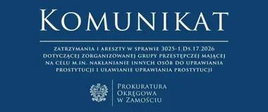 Zarzuty dla siedmiu osób w śledztwie dotyczącym grupy przestępczej