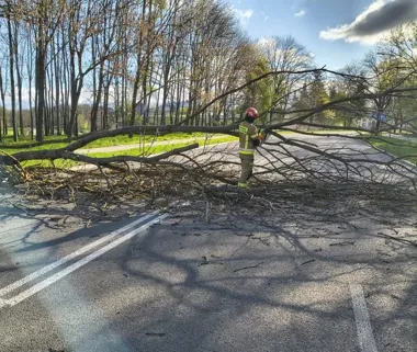 Wiatr uderzył w Zamość - strażacy mieli ręce pełne roboty przez cały dzień